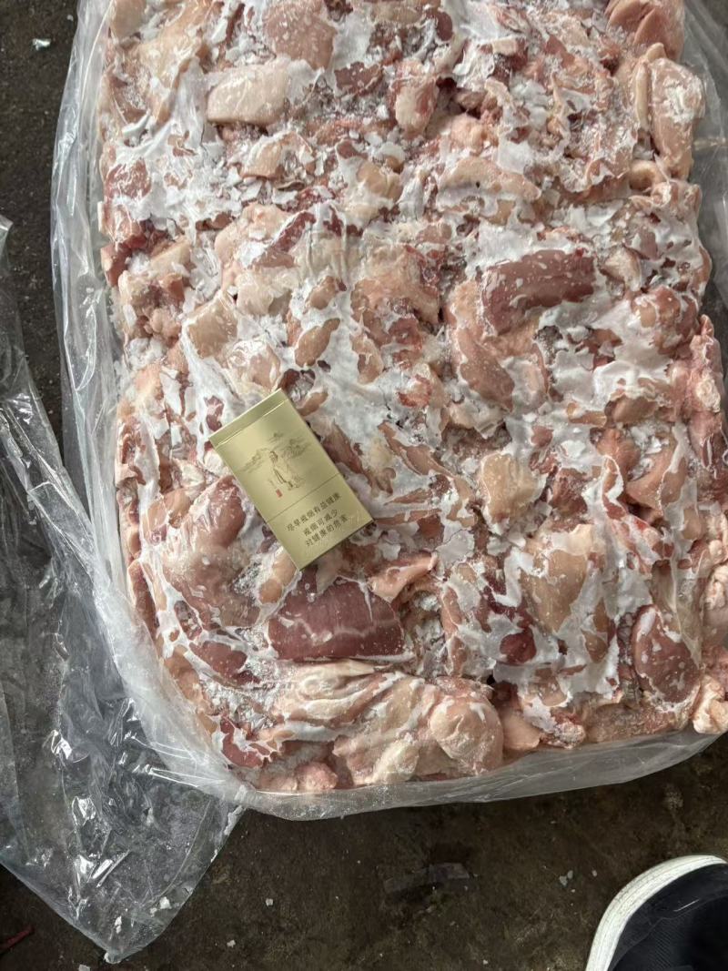 肥猪倒三七，猪碎肉，20吨货新货，鲜分