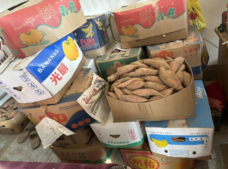 沙地烟薯