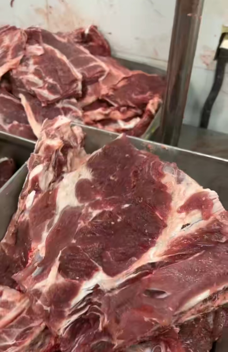 母猪前排，猪排骨
