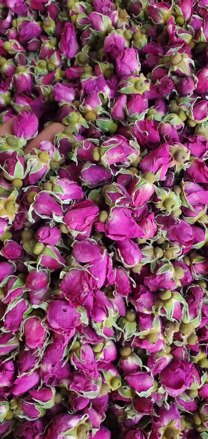 玫瑰干花蕾