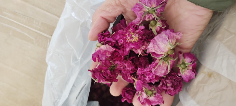 玫瑰干花蕾