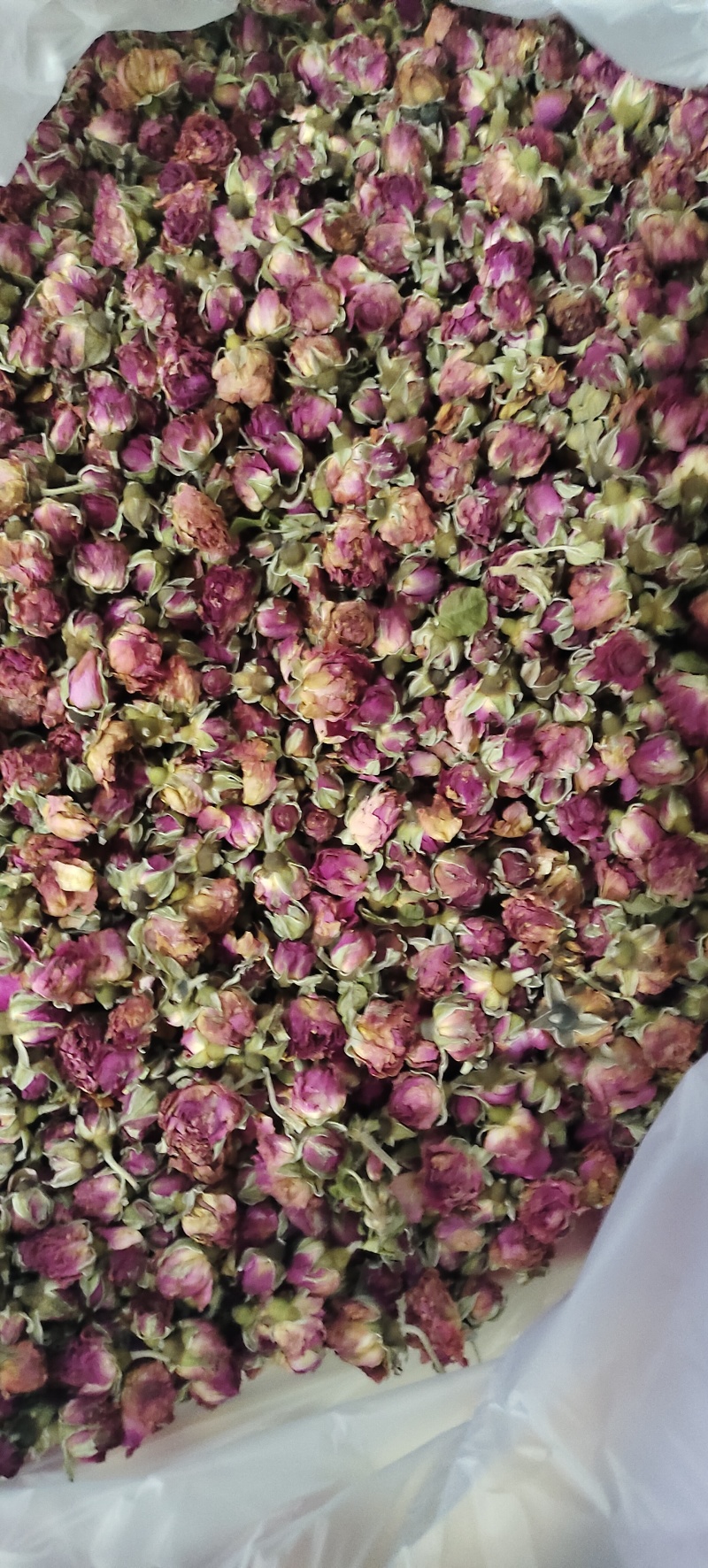 玫瑰干花蕾