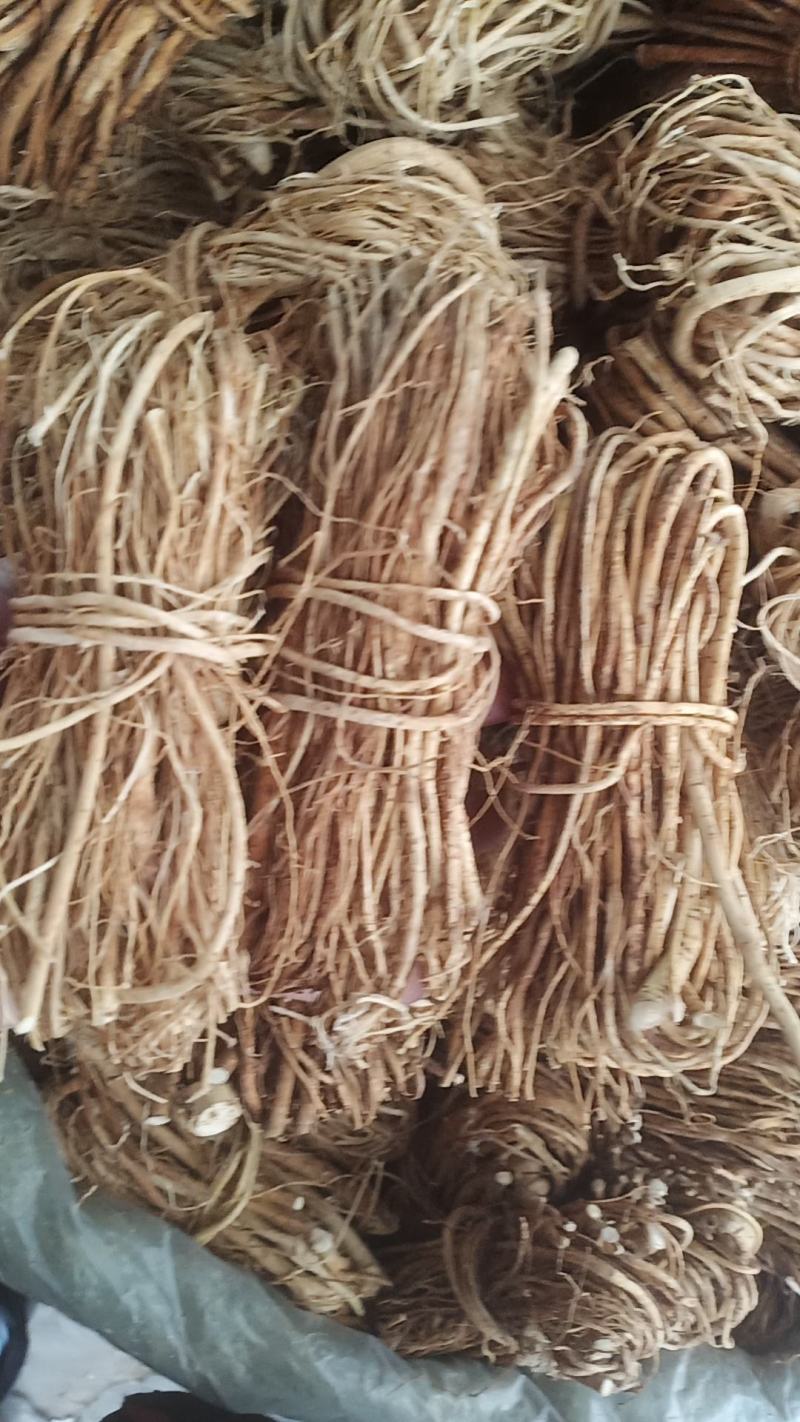 无.硫无包心五脂毛桃中药批发一手货量大忧惠