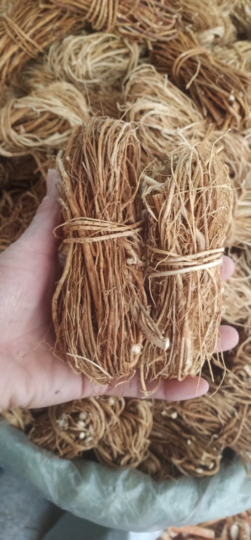 无.硫无包心五脂毛桃中药批发一手货量大忧惠