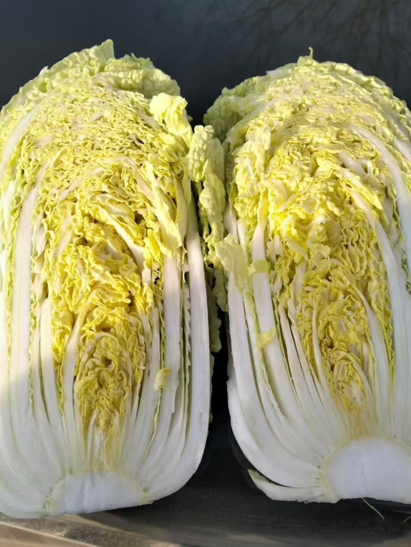 娃娃菜大娃小娃各种规格量大从优可视频看货