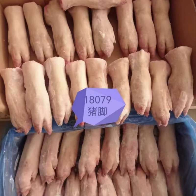 18079猪手