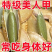 净重-正宗新货长粒原味美人甲南瓜子指甲椒盐炒货休闲坚果零