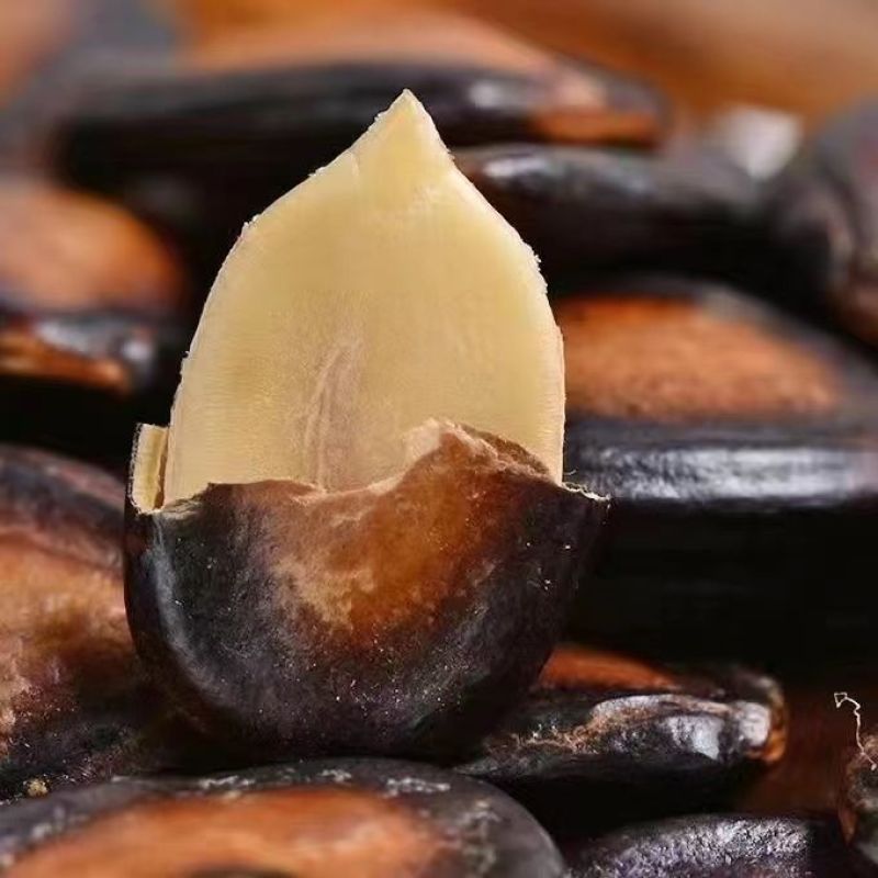 【净重】五香湿西瓜子水煮喝茶瓜子酱焖黑瓜子坚果炒货零食