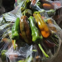 青红辣椒