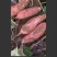 白哈蜜薯