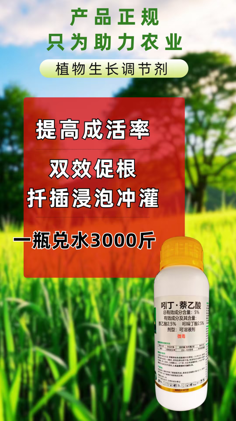 5%吲丁萘乙酸植物生长调节剂生根快提高成活率扦插移栽