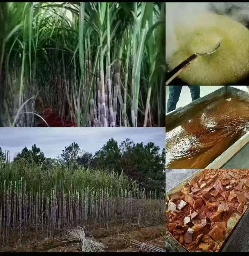 自家种的红糖