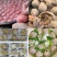 潮汕牛肉丸，牛筋丸潮汕汕头特产手工丸子