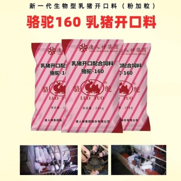 乳猪开口料（教槽料）