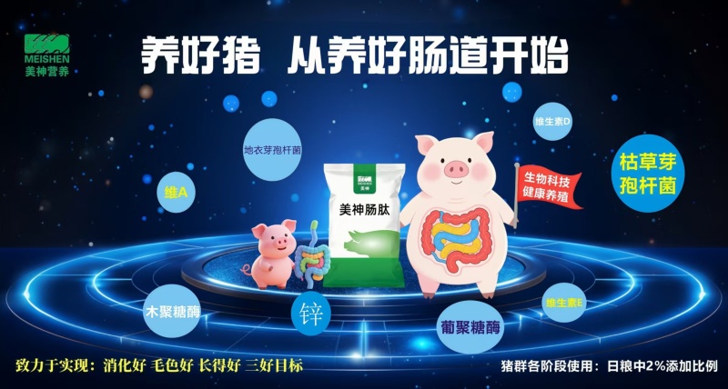 美神肠肽-2%添加比例