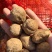 优质新鲜罗汉参，口感软糯，无农残。
