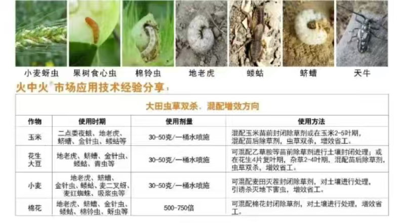 康禾立丰火中火高效氯氟氰菊酯杀虫剂