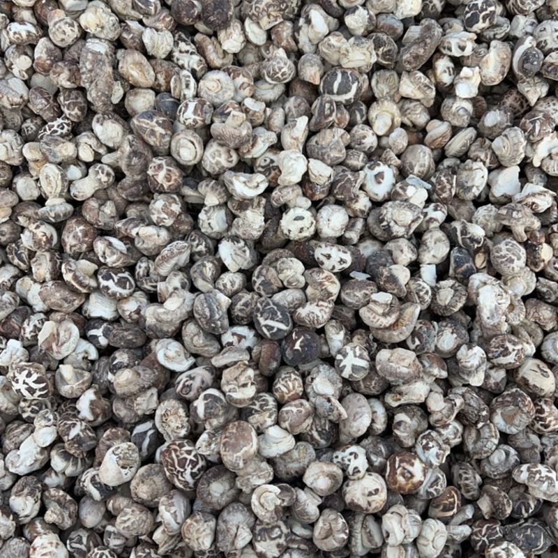花菇丁小花菇丁产地直发供应商超批发零售市场