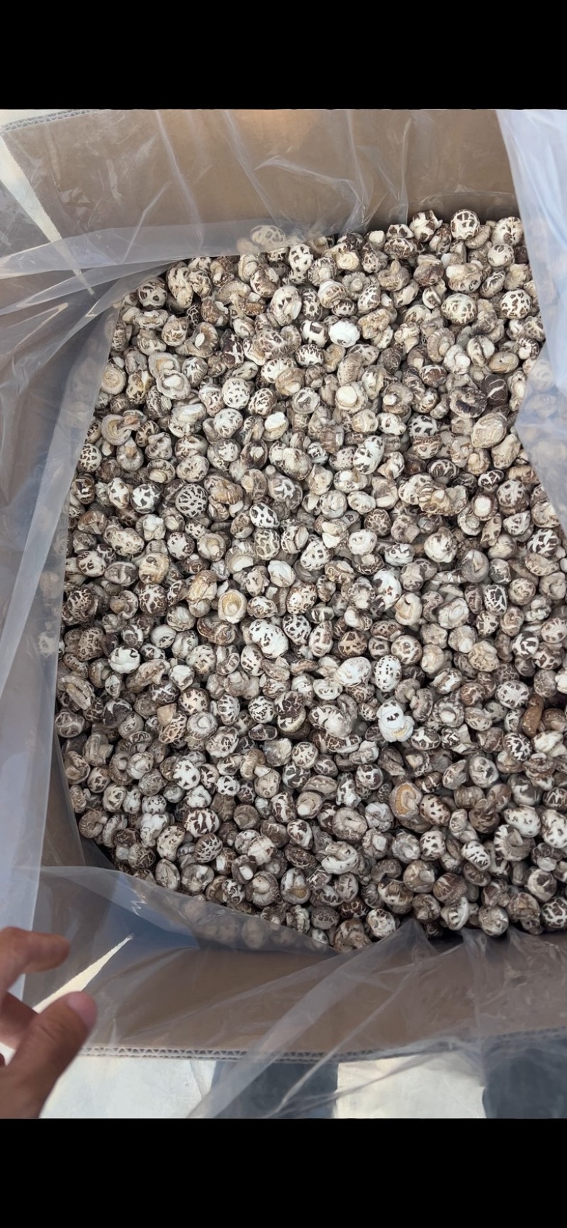 花菇丁小花菇丁产地直发供应商超批发零售市场