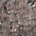 13万斤毛芋头大量出售