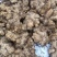 高原生姜