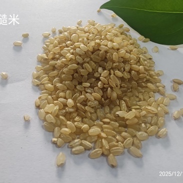 糙米
