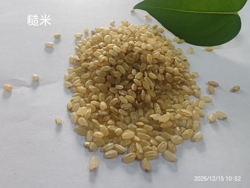 糙米