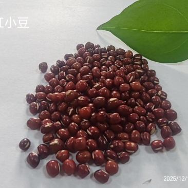 红豆