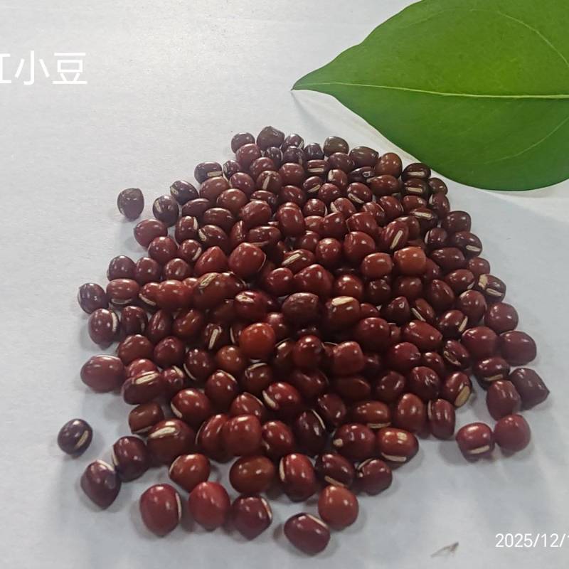 红豆