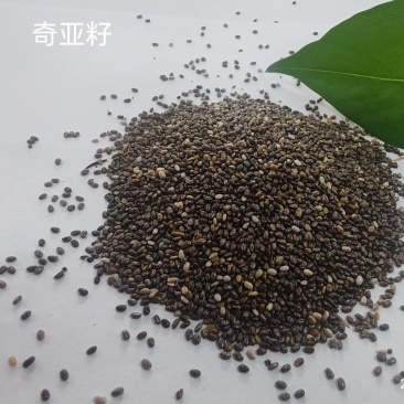 进口奇亚籽
