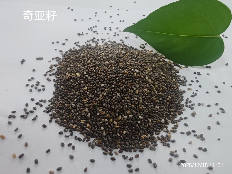 进口奇亚籽