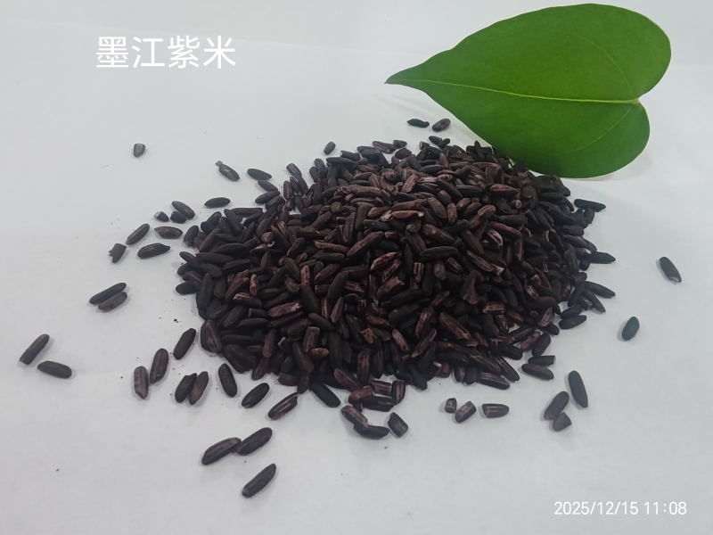 紫米