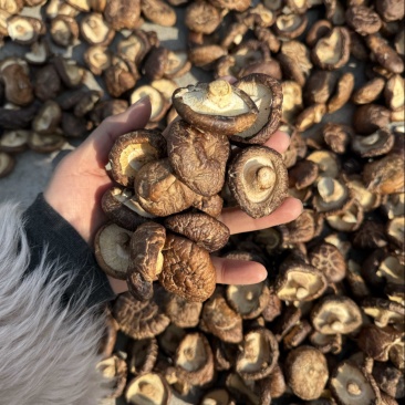 包邮油面3～4厘米干香菇2025新货烘干