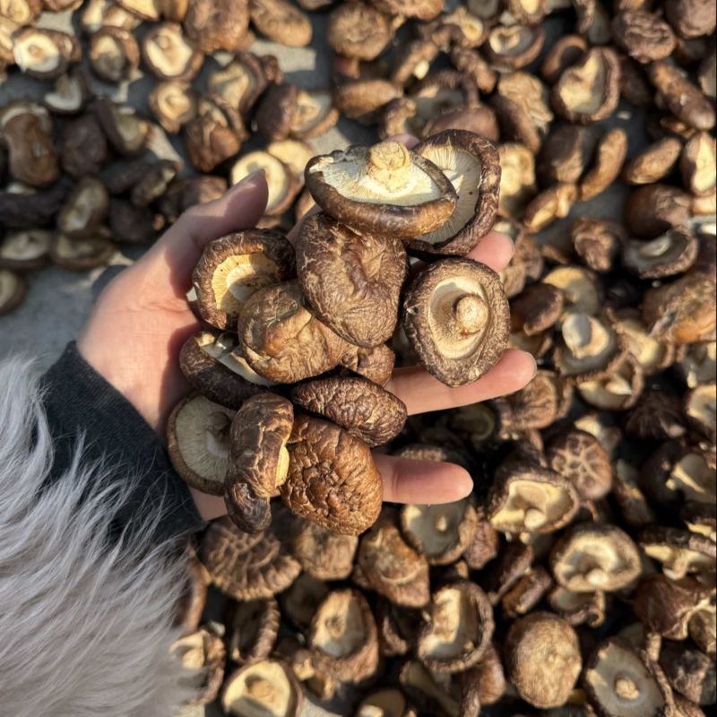 包邮油面3～4厘米干香菇2025新货烘干