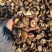 包邮油面3～4厘米干香菇2025新货烘干