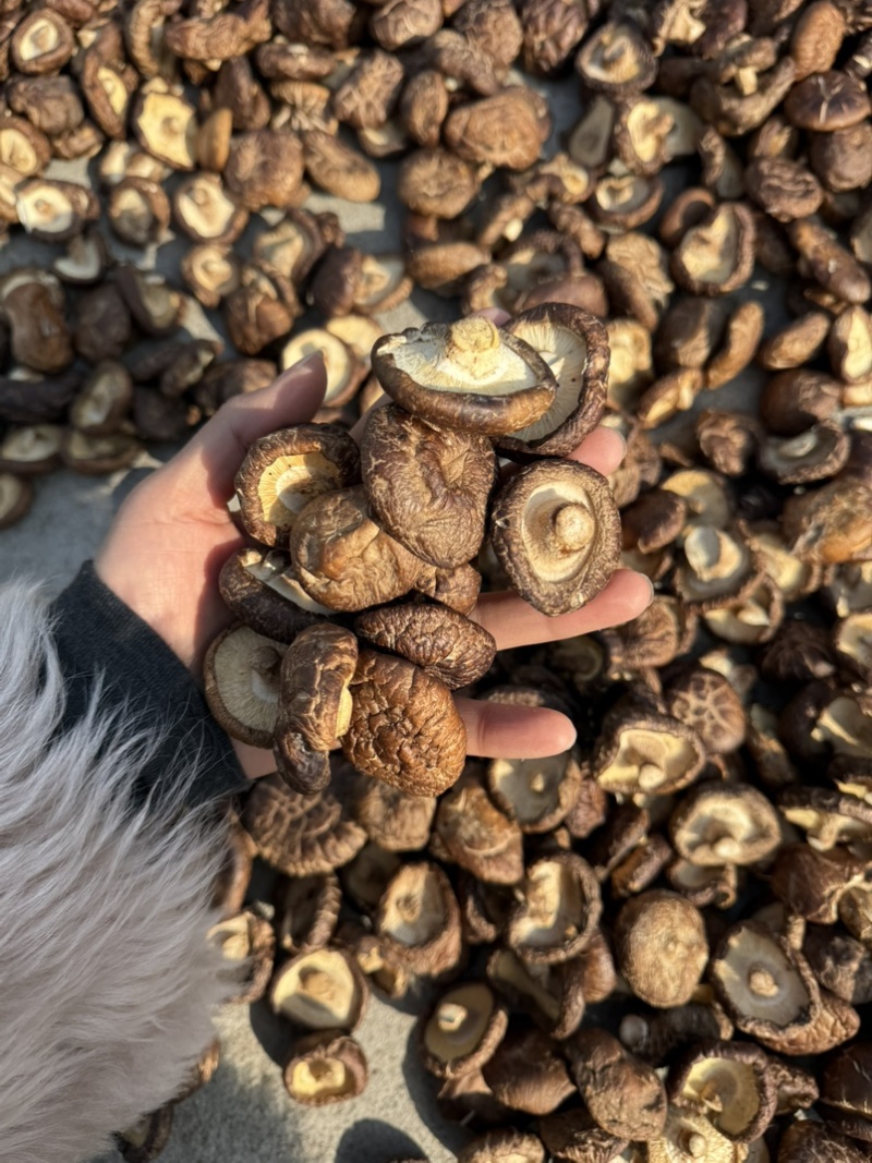 包邮油面3～4厘米干香菇2025新货烘干