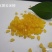熟化黄玉米糁