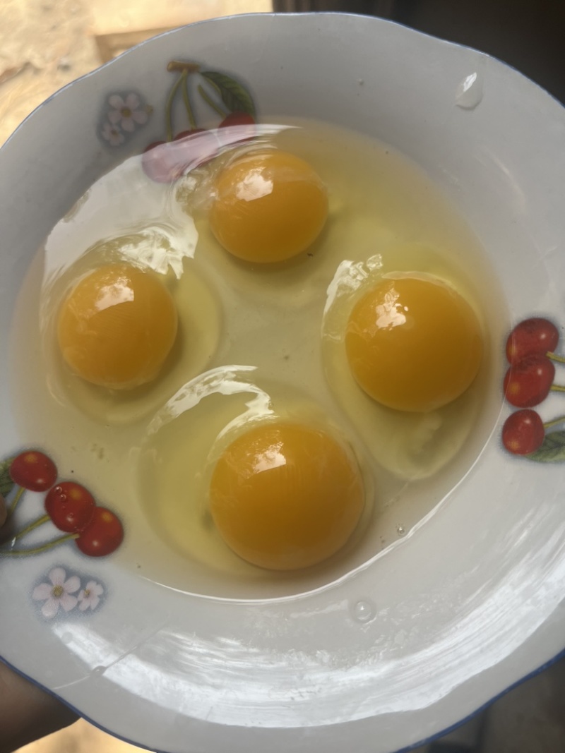精品土鸡蛋规格齐全粉绿混发大量供货