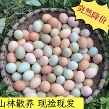 精品土鸡蛋规格齐全粉绿混发大量供货