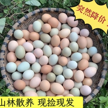 精品土鸡蛋规格齐全粉绿混发大量供货