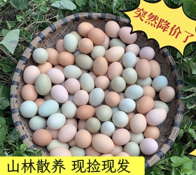 精品土鸡蛋规格齐全粉绿混发大量供货