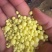 工业硫磺99.96进口硫磺哈萨克斯坦进口硫磺阿拉山口口岸
