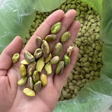 开心果大颗粒商超货