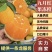 湖北宜昌九月红脐橙大量上市产地一手货源可供全国市场商超