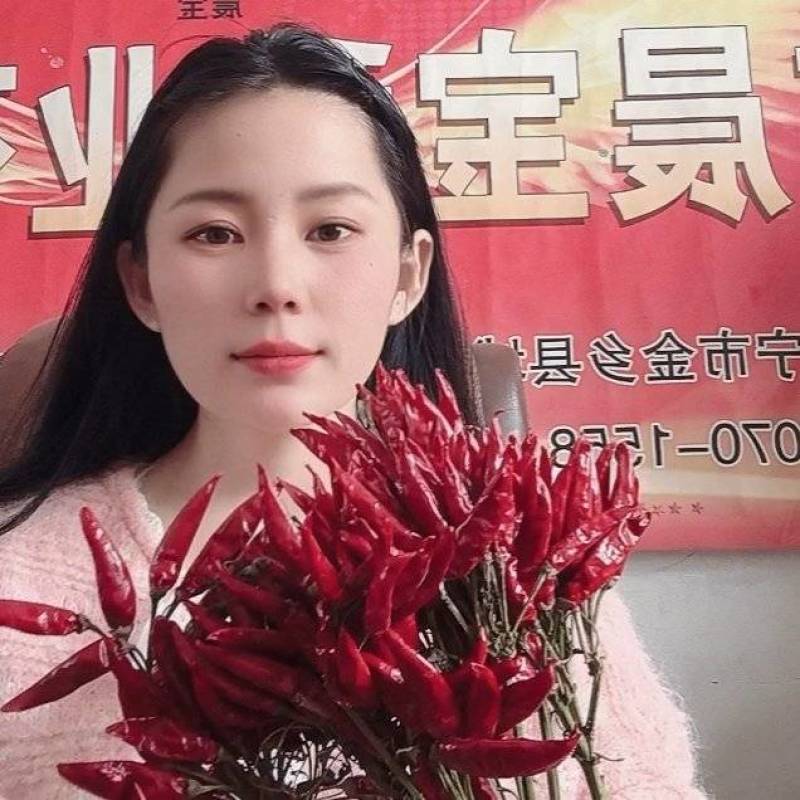 朝天椒辣椒苗晨宝幸福红金贵宏蒜乡红