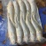 袋装小黄鱼福建宁德新鲜小黄花鱼品质保证一手货源欢迎来电咨询
