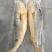 袋装小黄鱼福建宁德新鲜小黄花鱼品质保证一手货源欢迎来电咨询