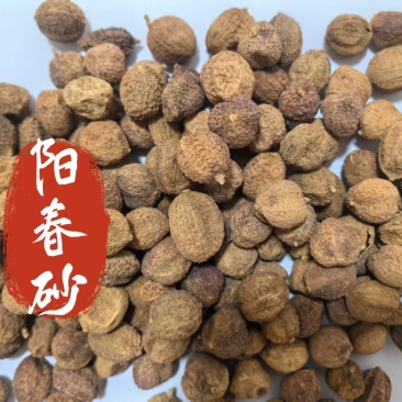 砂仁一手货源批发零售一件代发量大从优