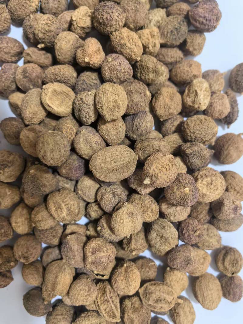 砂仁一手货源批发零售一件代发量大从优