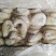 精品牛副金钱肚，可开票手续齐全。